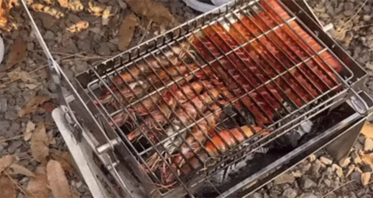 La griglia per barbecue girevole e pieghevole scatena la mania del campeggio coreano