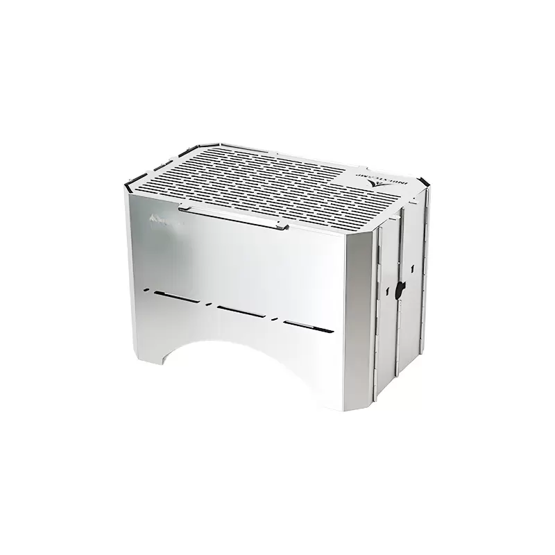 Griglia per barbecue pieghevole a gas e carbone
